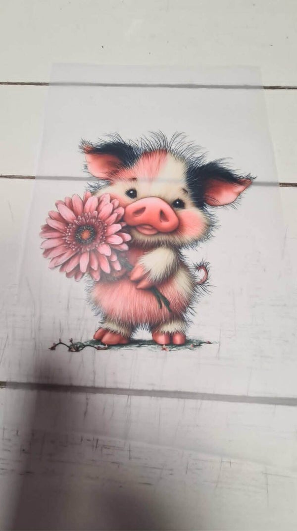 varkentje met roze bloem
