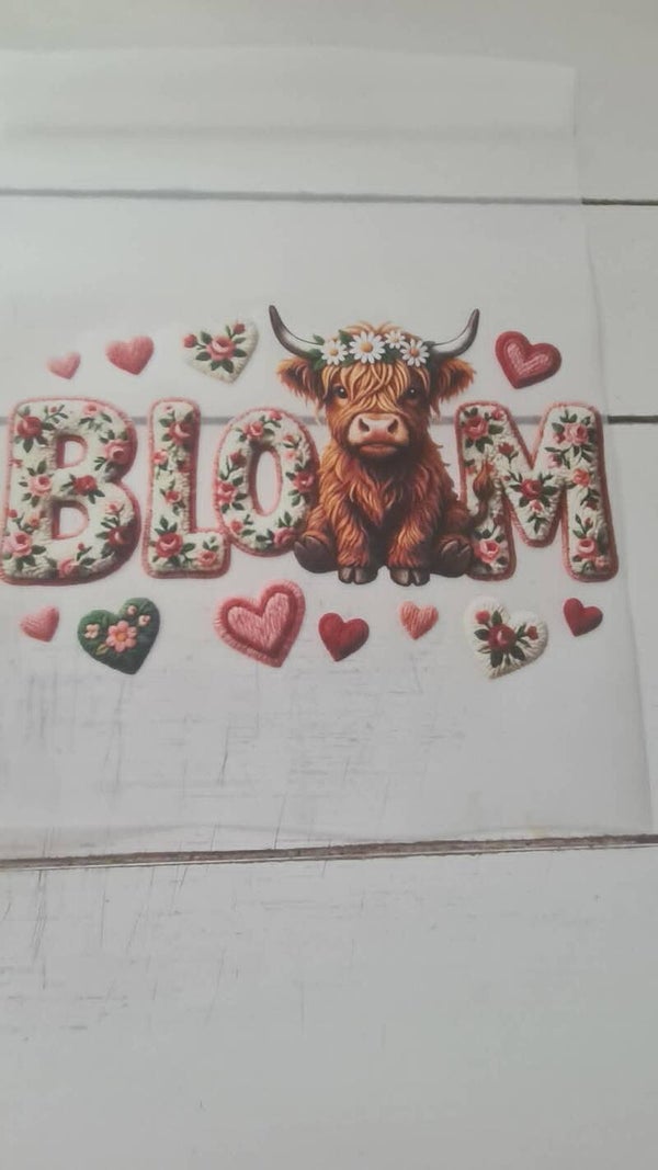 hooglander bloom