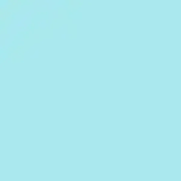 siser easyweed   mint