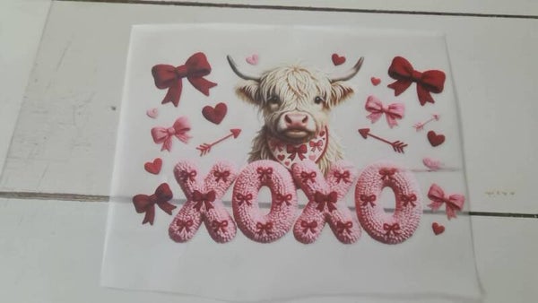 witte hooglander xoxo