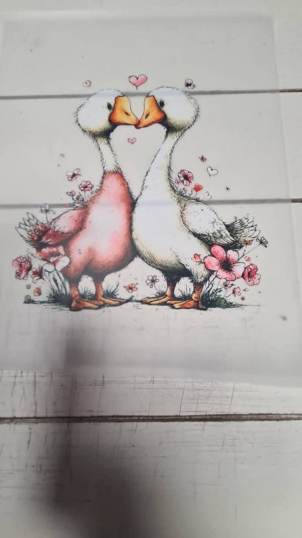 2 ganzen roze tinten