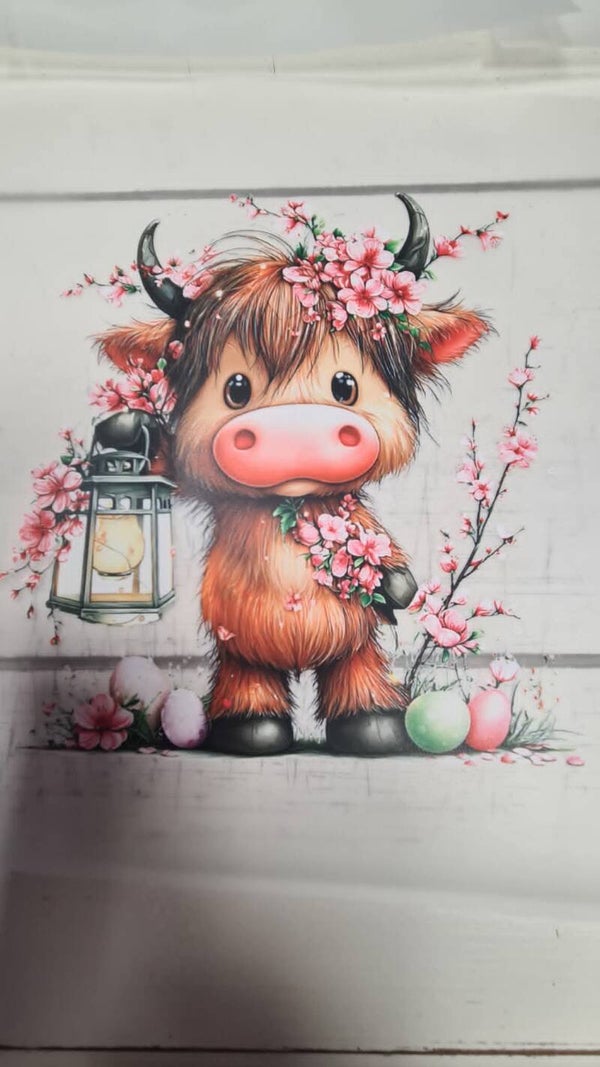 hooglander met lantaarn
