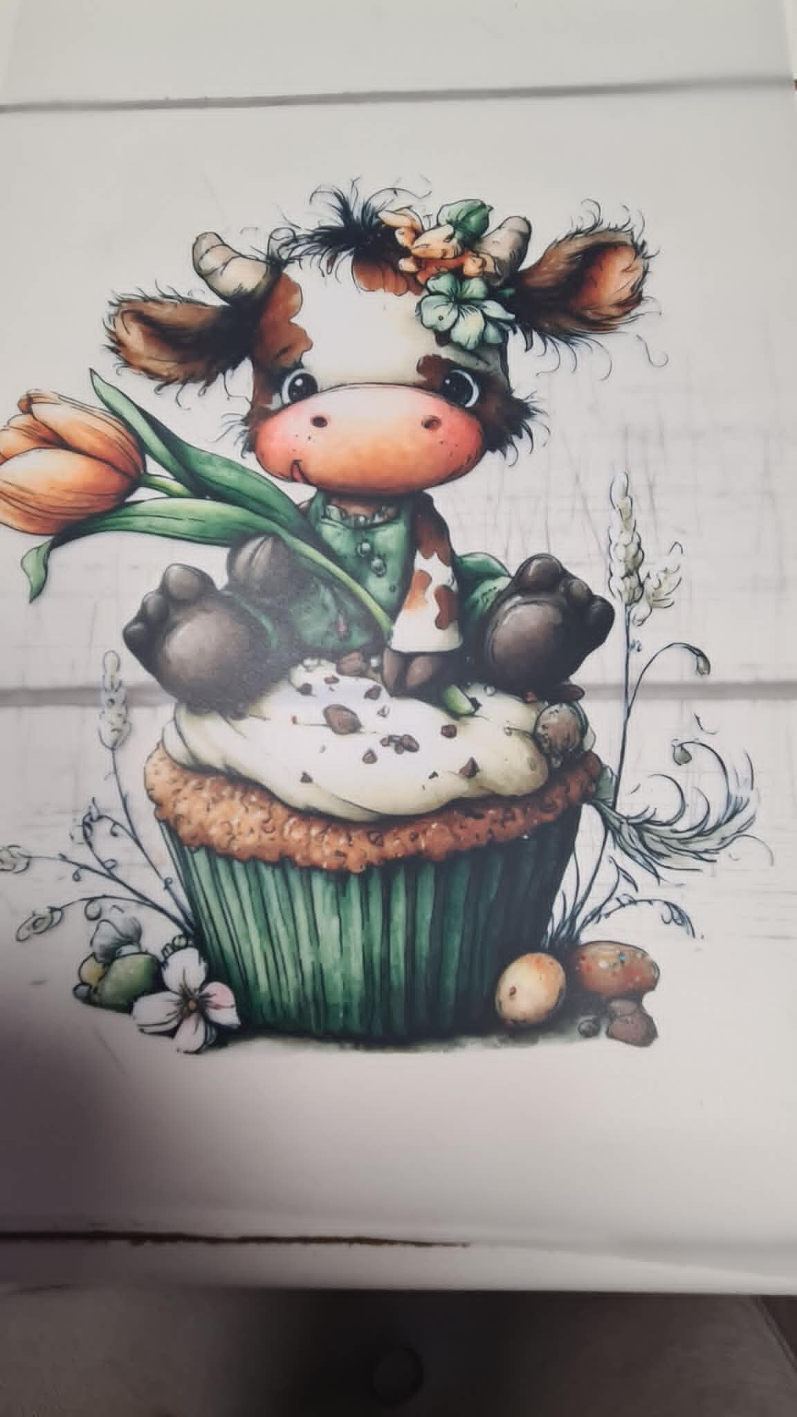 koe op cupcake