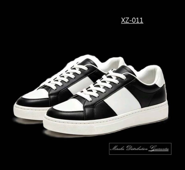 XZ-011