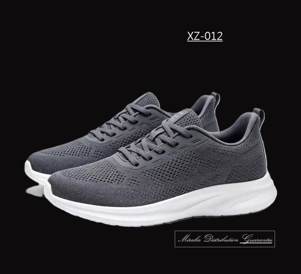 XZ-012