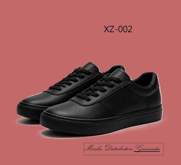 XZ-002