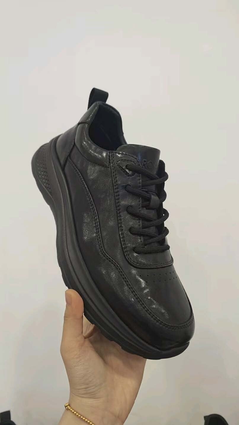 80-standard.jpg