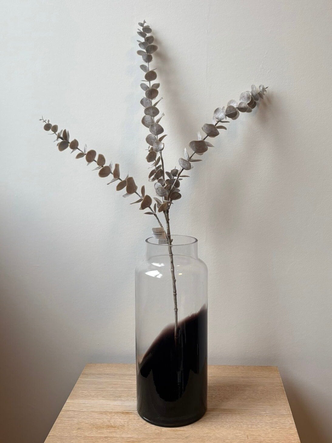 Eucalyptus tak Grijs