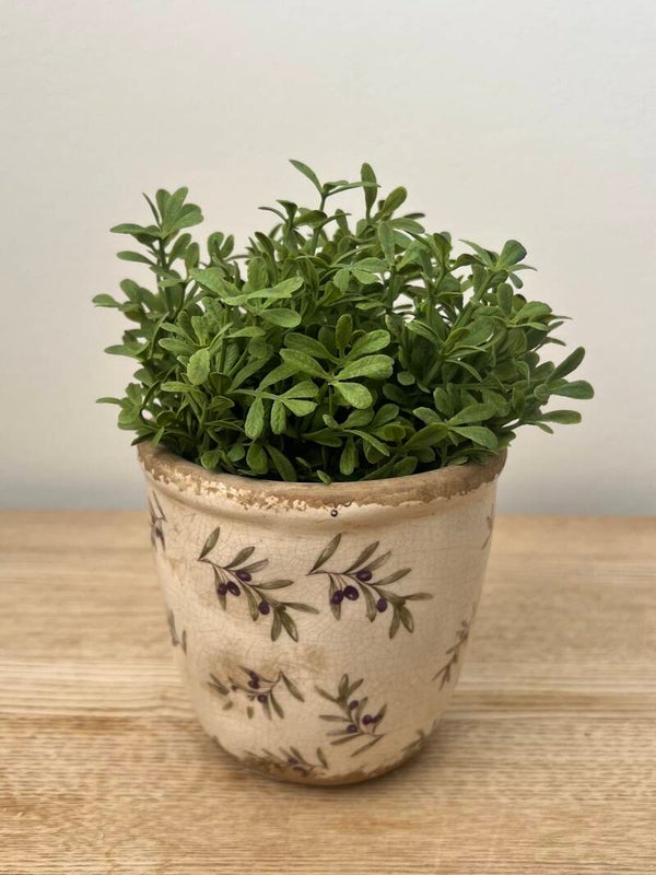 Mini Bloom