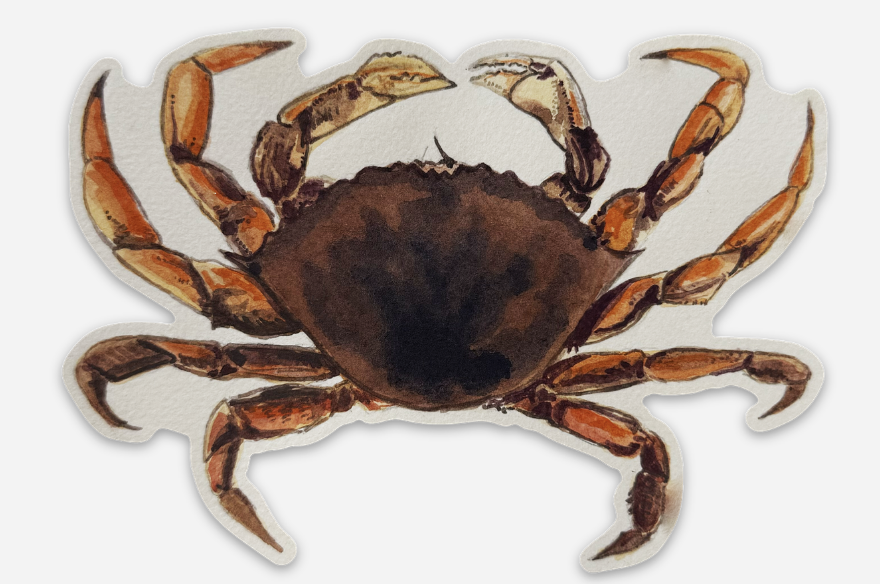 Crab Sticker