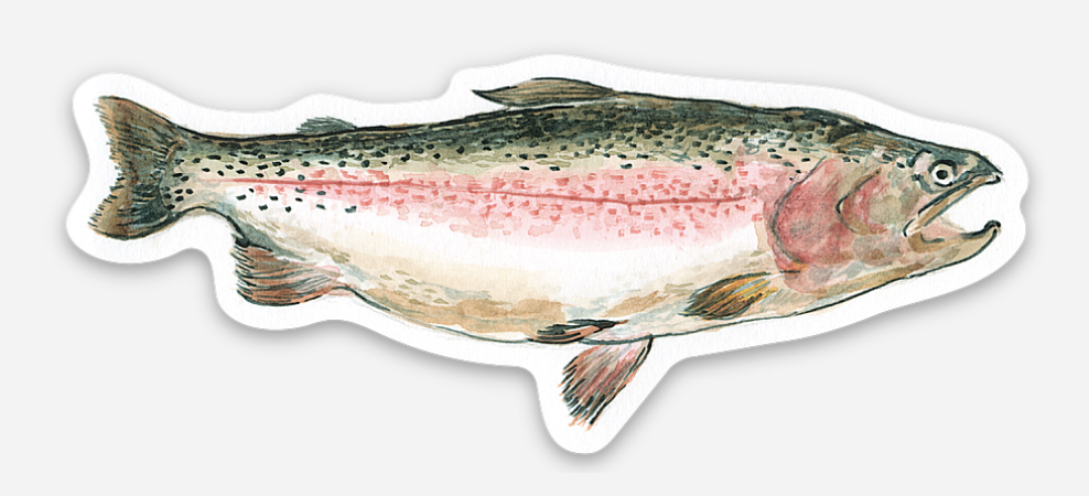 Rainbow Trout Sticker