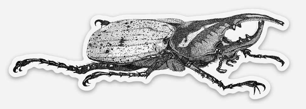 Beetle Sticker