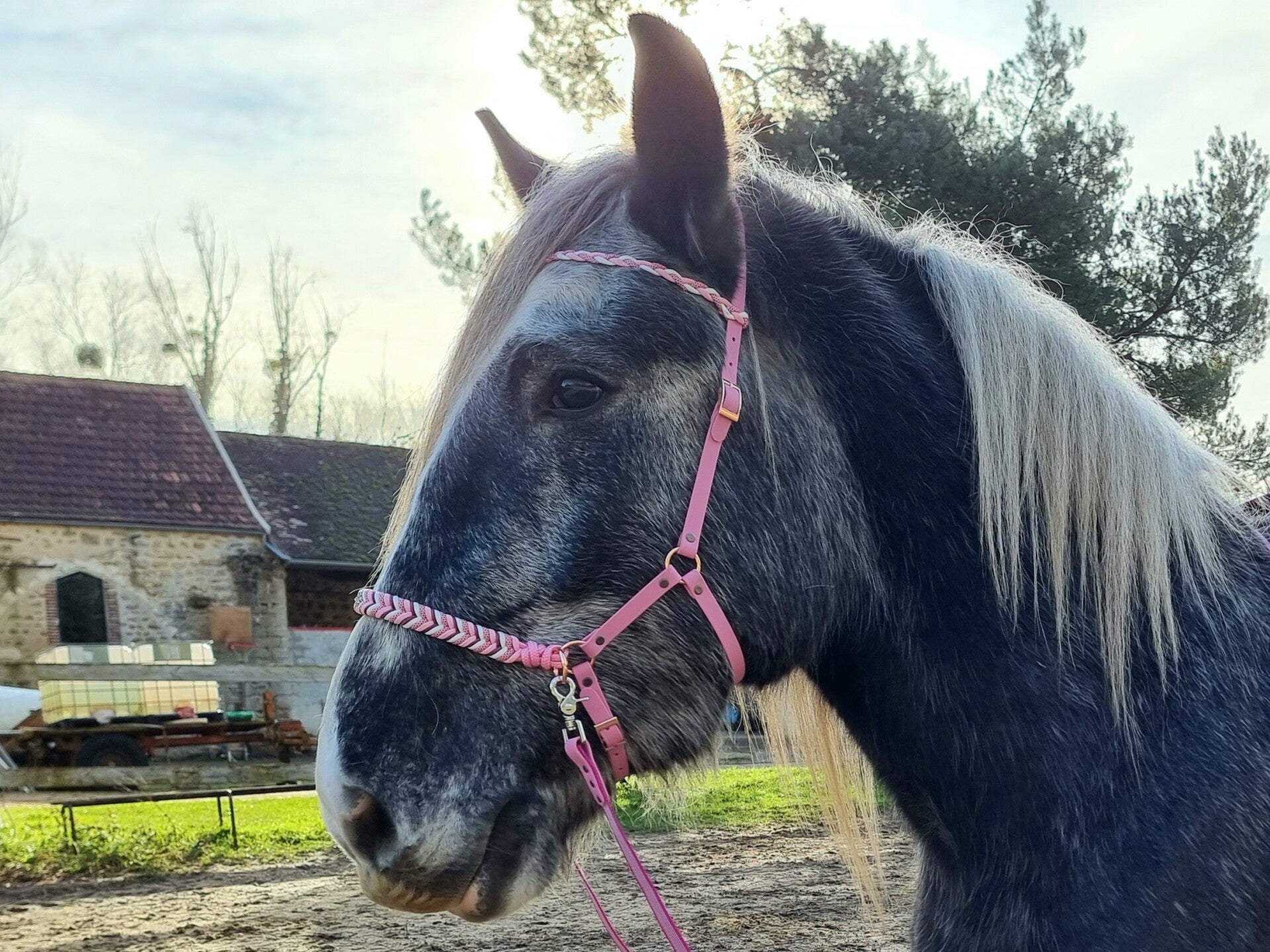 Sidepull style Samara - Personnalisable