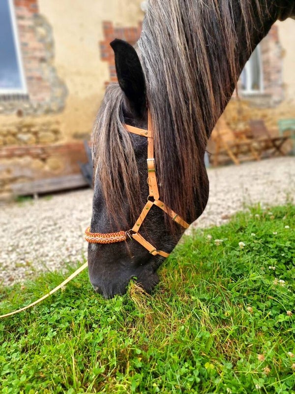 Sidepull style Mohican - personnalisable