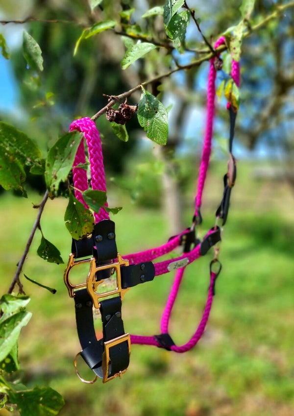 Licol style Hawaï - Personnalisable