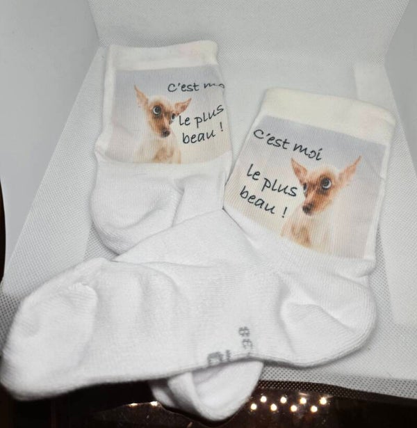 SOCKART