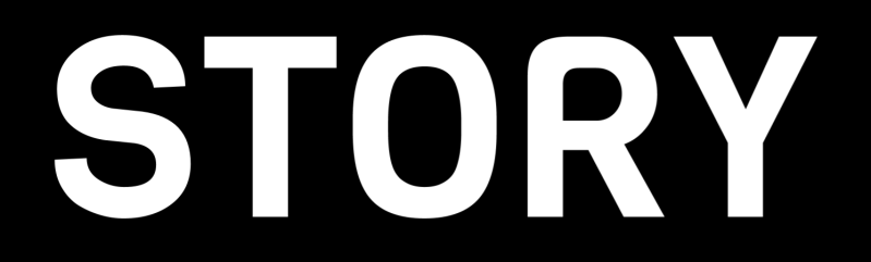 about fashionstory.nl - logo - 