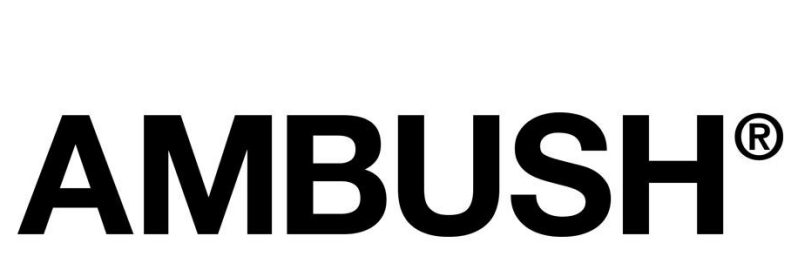 about ambush history