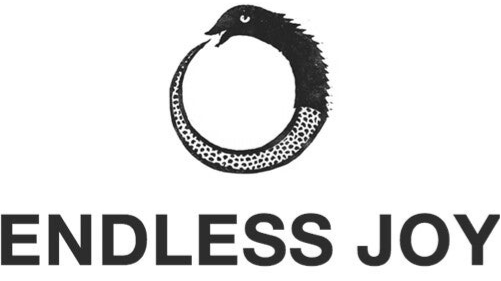 about endless joy history