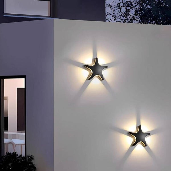 Backlit Starfish Wall Sculpture