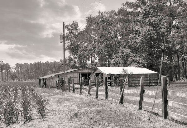 Bolivia NC Farm Digital Download