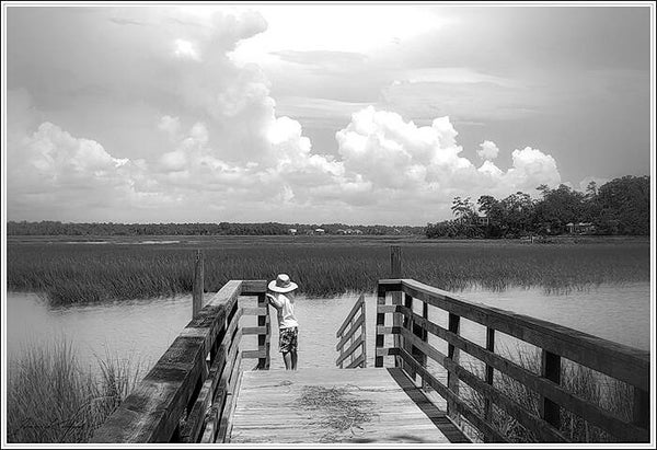 Looking Out at the Intracoastal Limited Edition