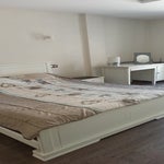 9-standard-3e6t50.jpg