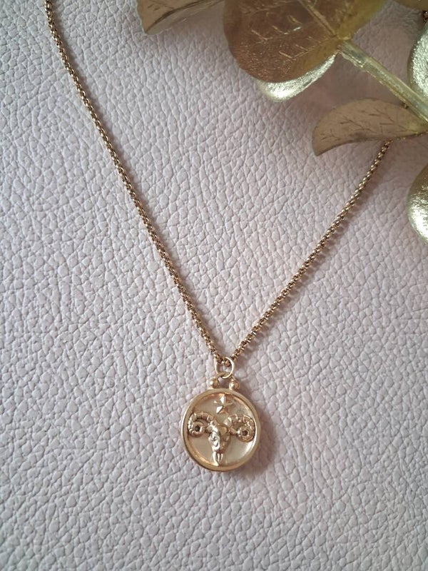 Collier Bélier recto-verso ACIER
