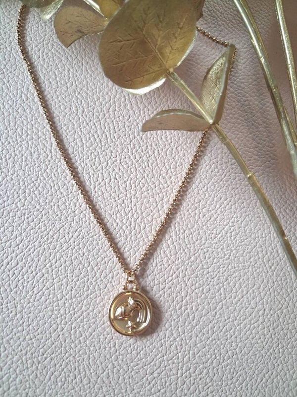 Collier Verseau recto-verso ACIER