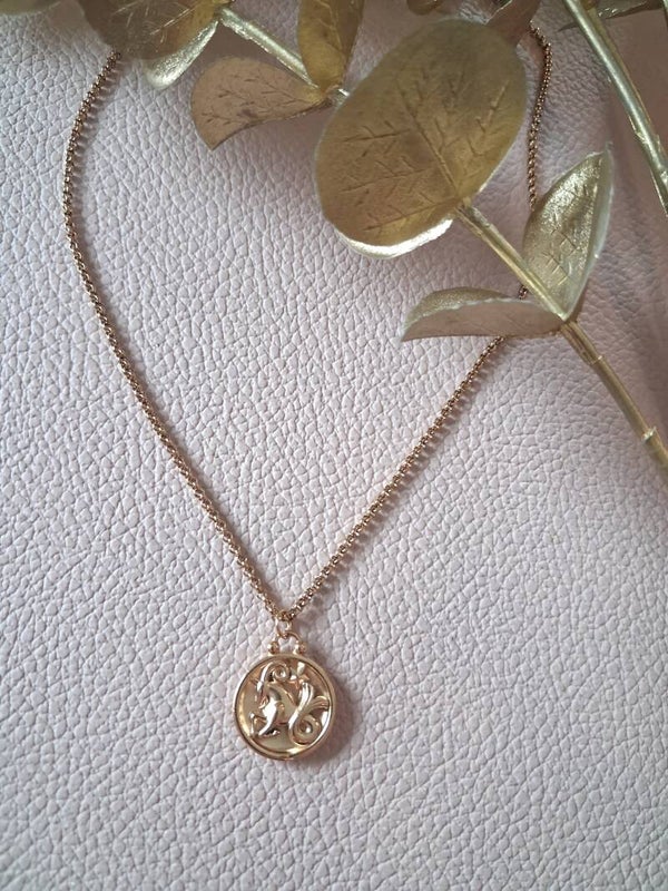 Collier Capricorne recto-verso ACIER