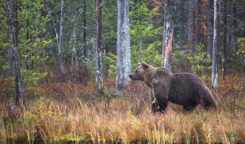 reis-finland-2023_01