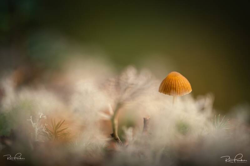 reis-finland-2023_03