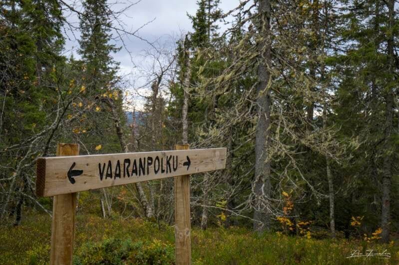 reis-finland-2023_13