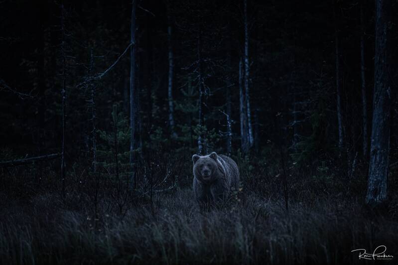 reis-finland-2023_15