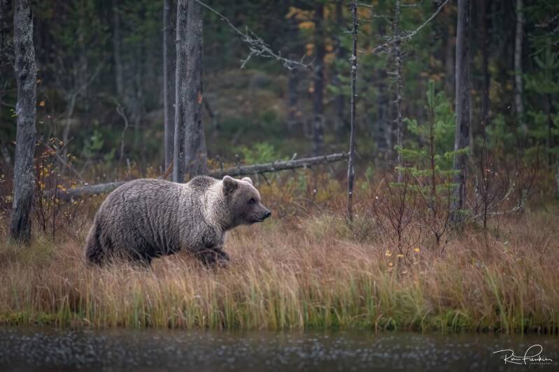 reis-finland-2023_16