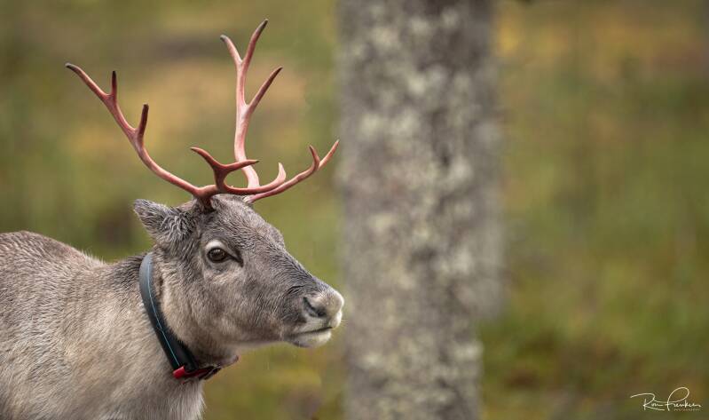 reis-finland-2023_20