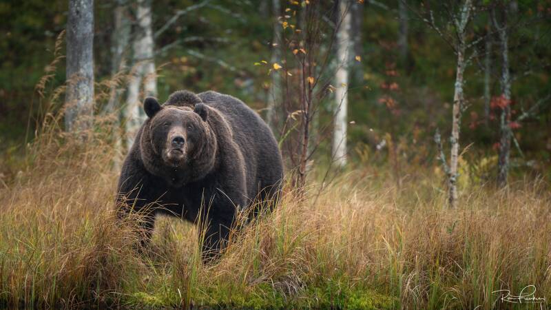 reis-finland-2023_22