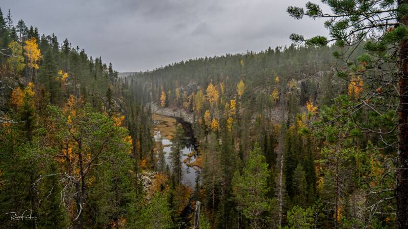 reis-finland-2023_23