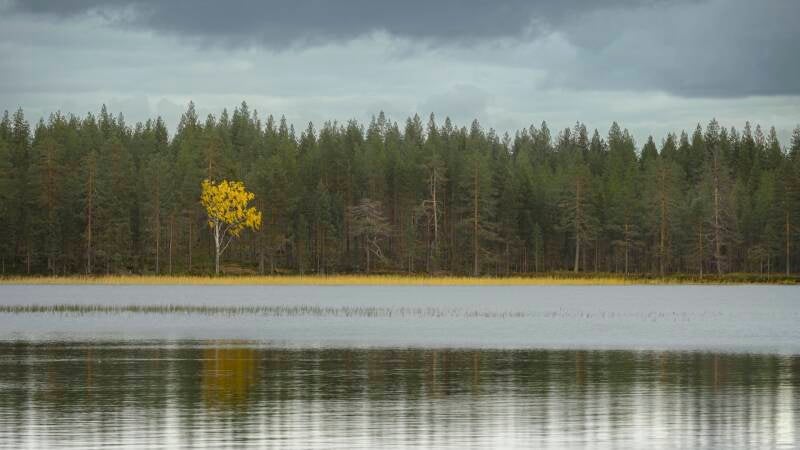 reis-finland-2023_24