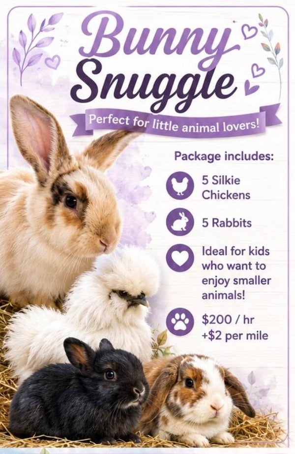 Bunny package
