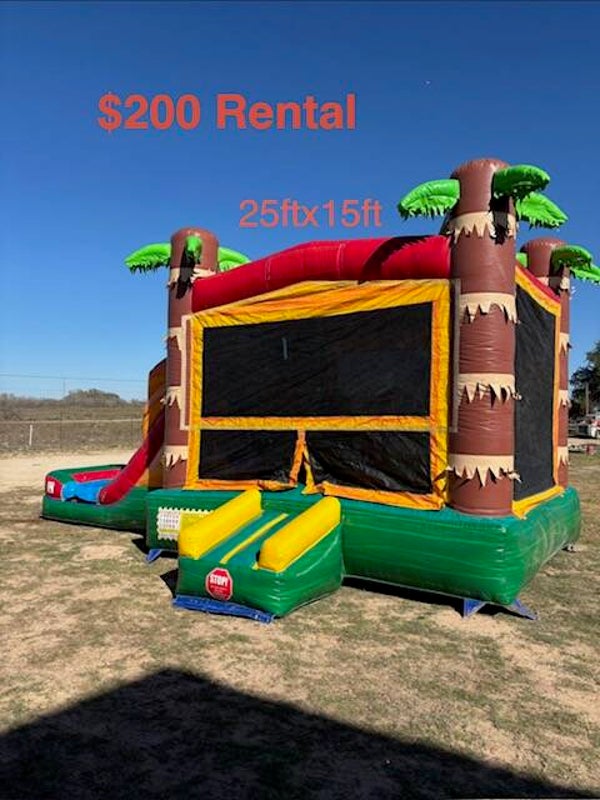 Palm tree bounce house combo wet/ dry Rental