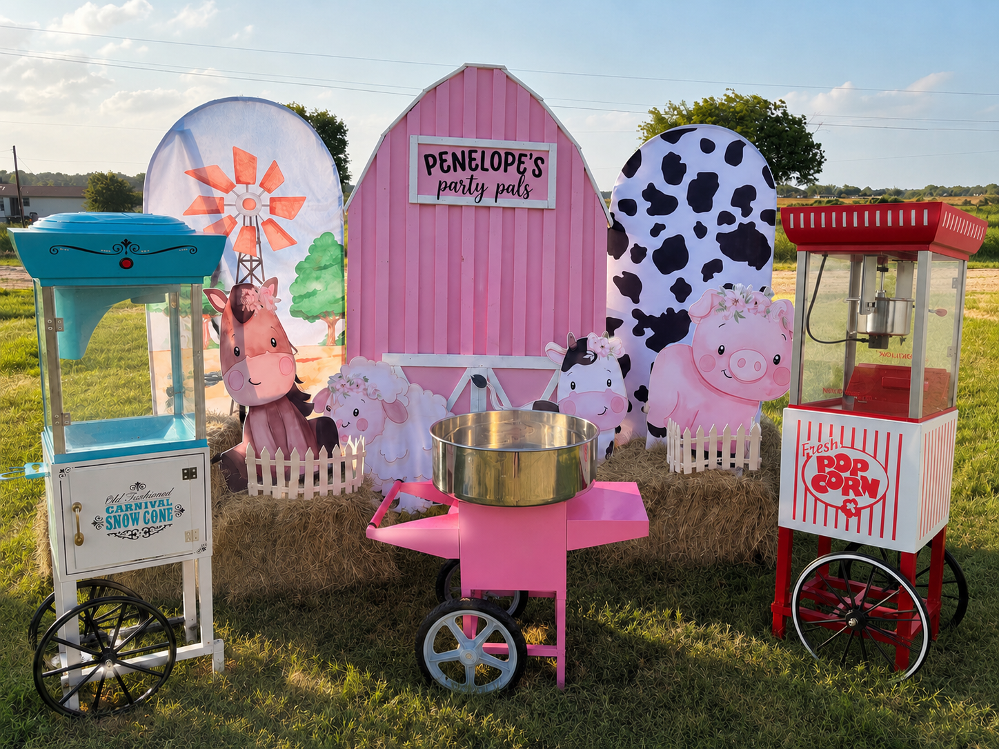 Concessions : snow cone , popcorn and cotton candy machines