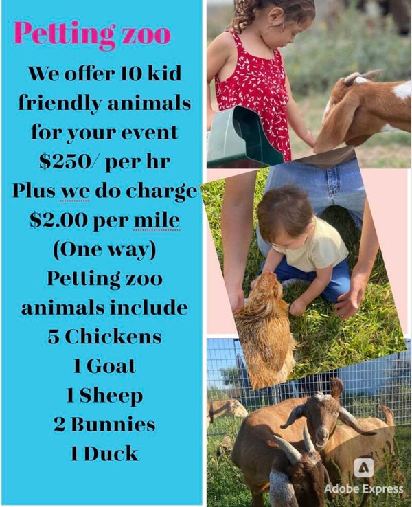 10 animal petting zoo