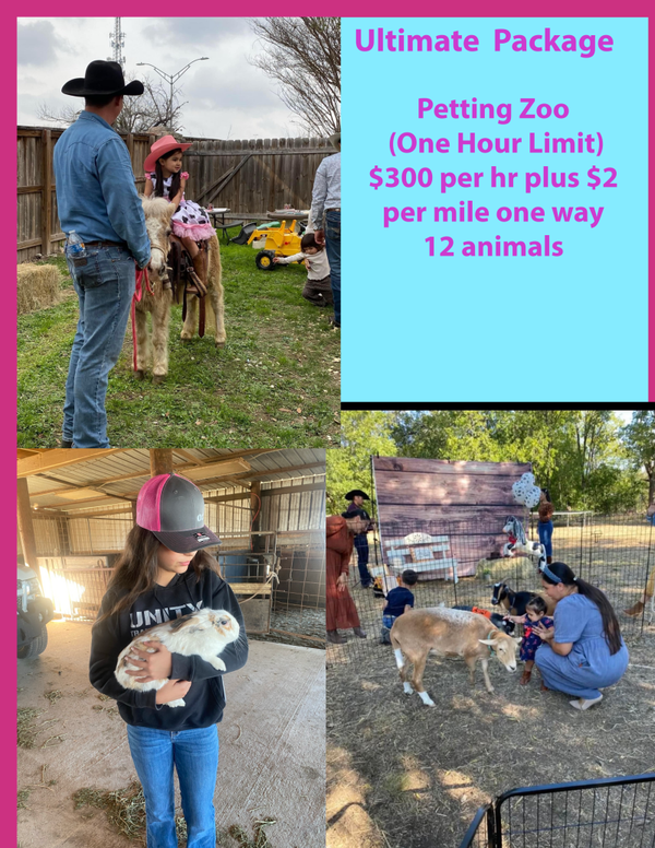 Petting zoo