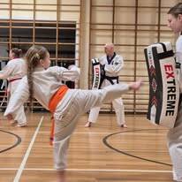 Children and Adults Training Martial Arts