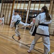 Children and Adults Training Martial Arts