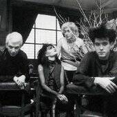 Siouxsie and the Banshees