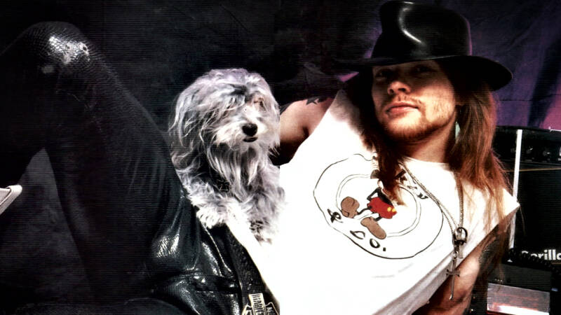 Guns &#039;n&#039; Roses