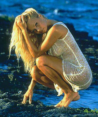 Pamela Anderson