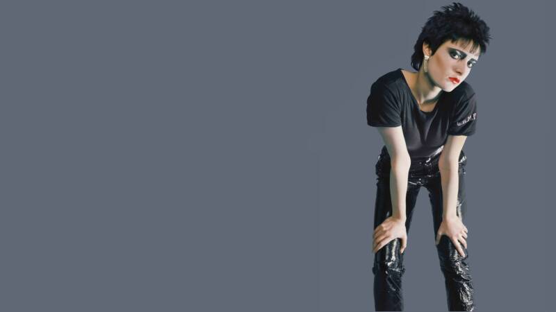 Siouxsie and the Banshees